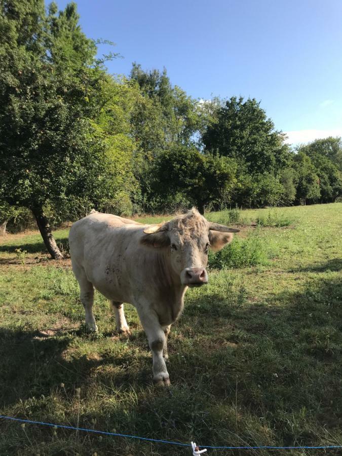 La Bergerie Du Domaine Des Buissonnets Villa Écardenville-sur-Eure Eksteriør billede