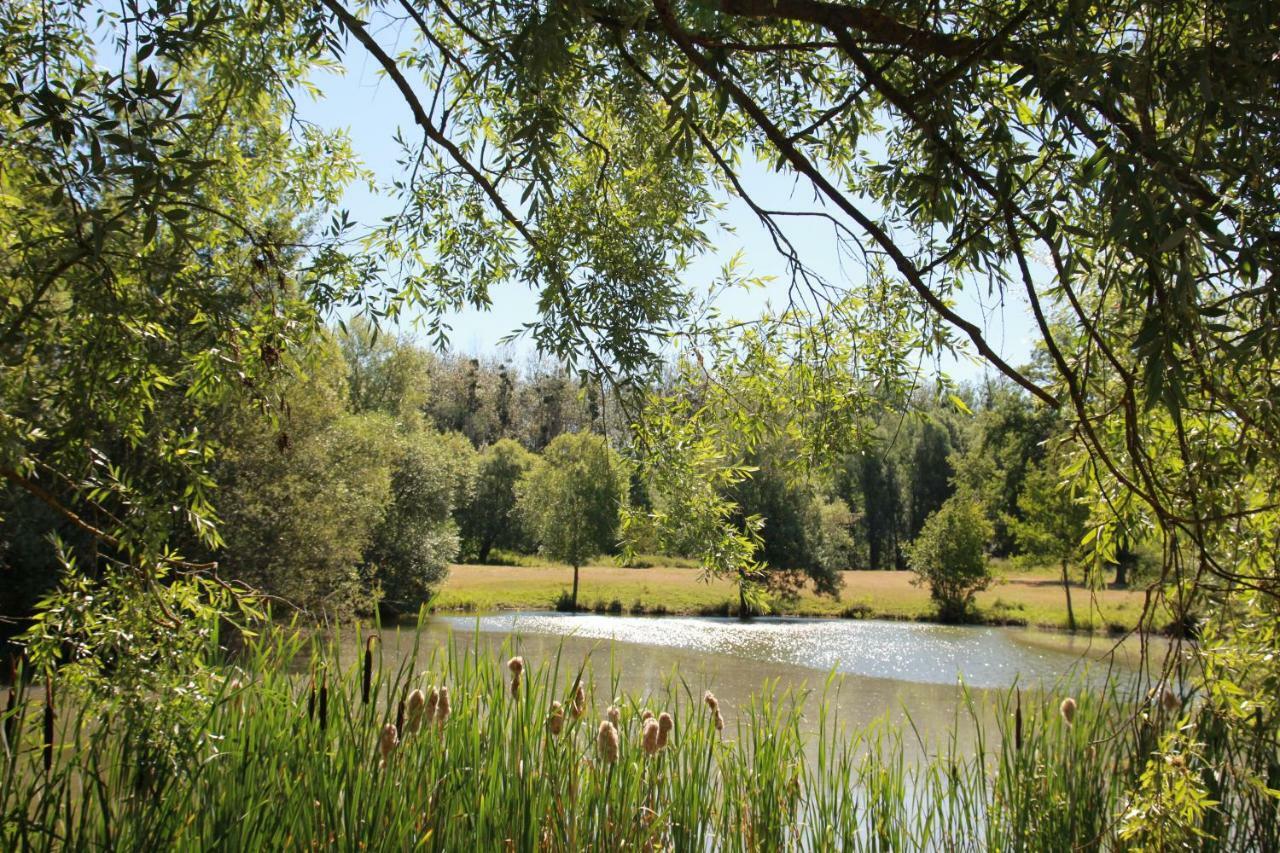 La Bergerie Du Domaine Des Buissonnets Villa Écardenville-sur-Eure Eksteriør billede